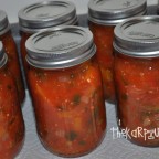 zesty salsa - thekarpiuks